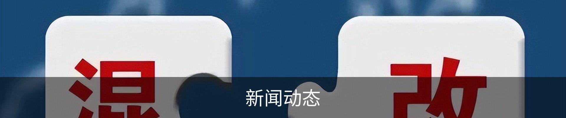 新闻动态